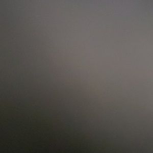 Meet your Posher, Tanner